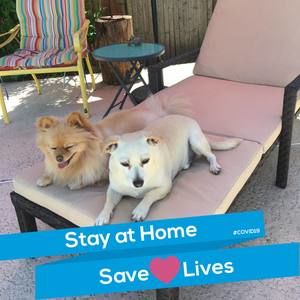 Meet your Posher, Carrie